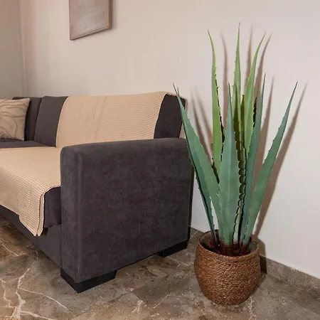 Steno Loft Appartement